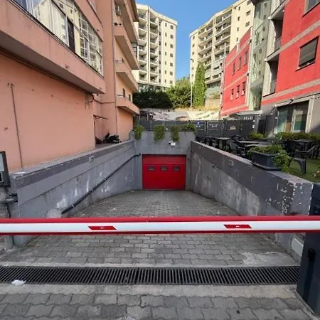 Vescovo Rosso